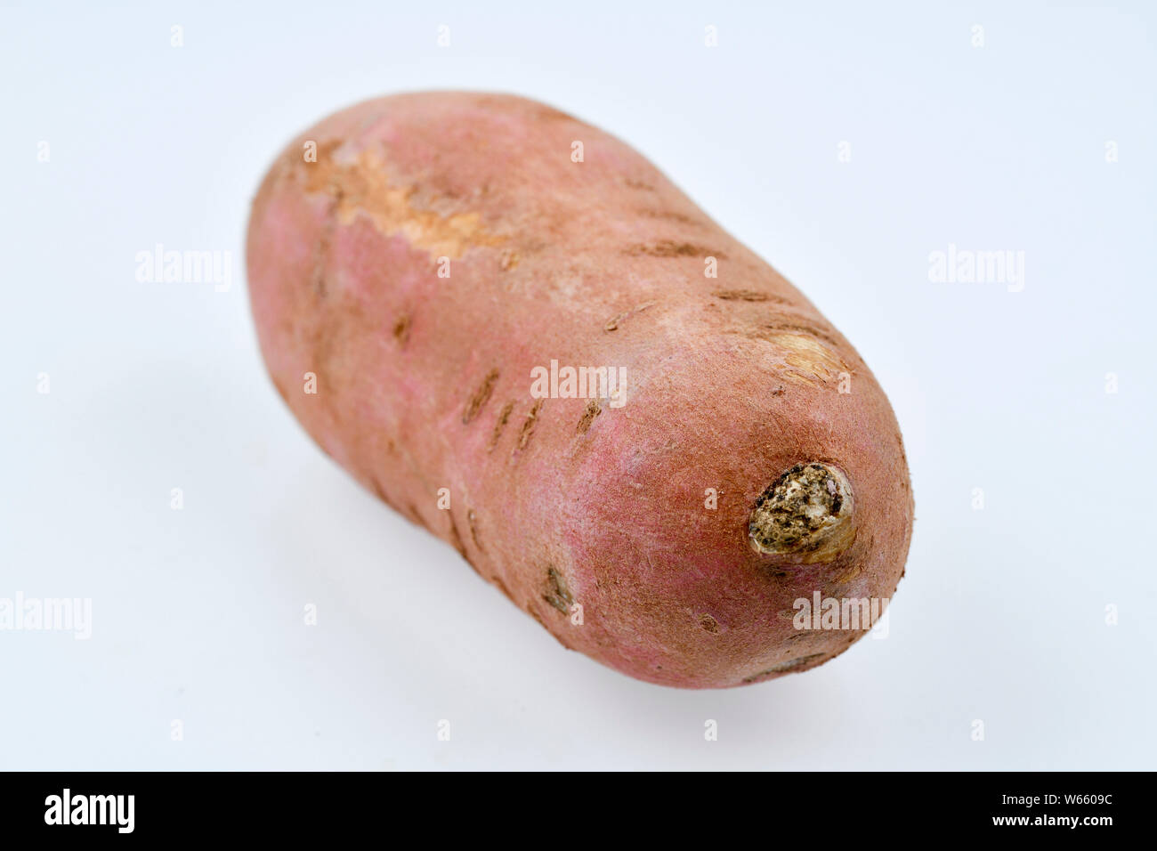 sweet potato, Ipomoea batatas Stock Photo
