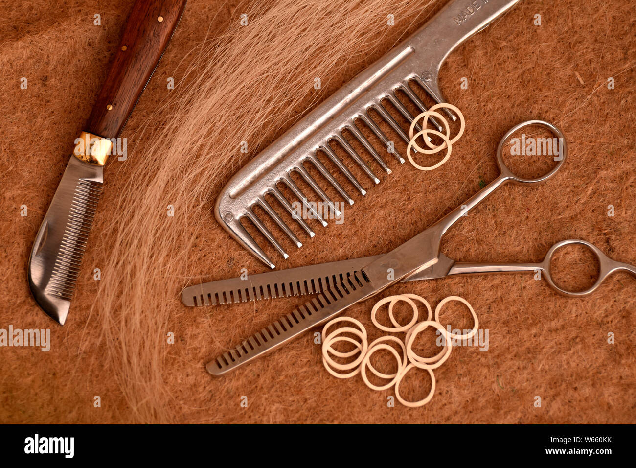 Equipment for horse grooming, thinning shears, thinning knive, rubber band, rubber bands Stock Photo