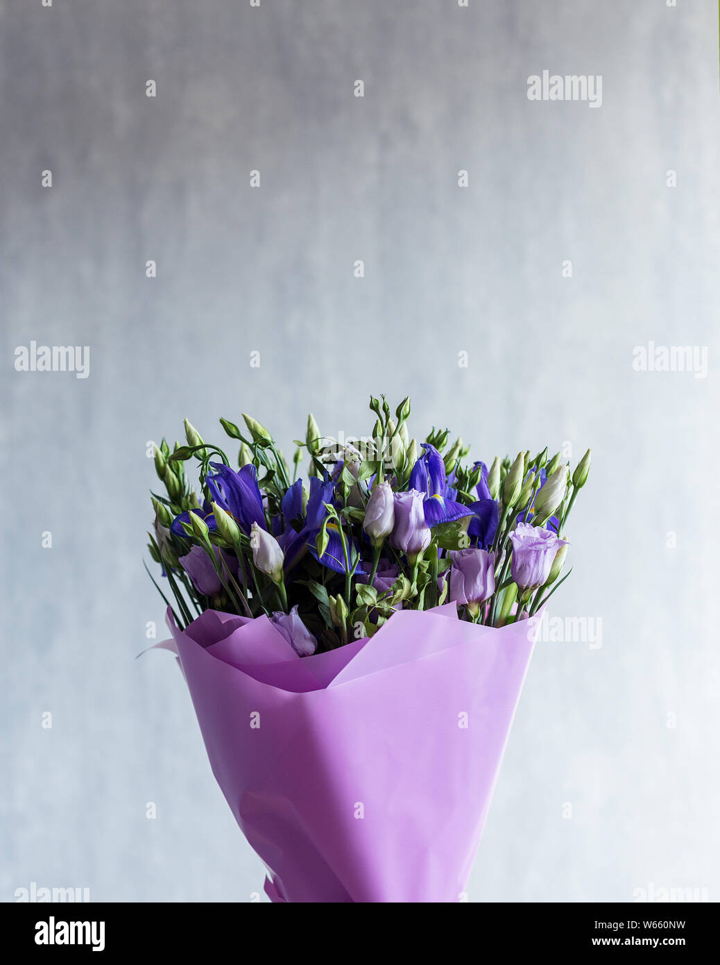 Siberian iris in bouquet in purple paper on gray background Stock Photo