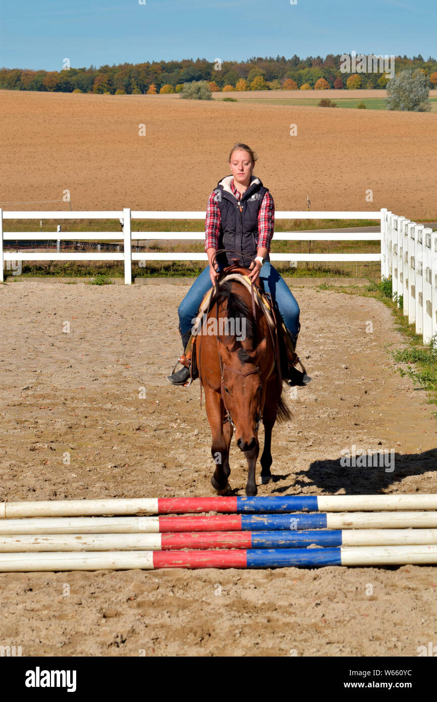 Horse Training, western horse, ground work, young horse, rails, rail Stock Photo