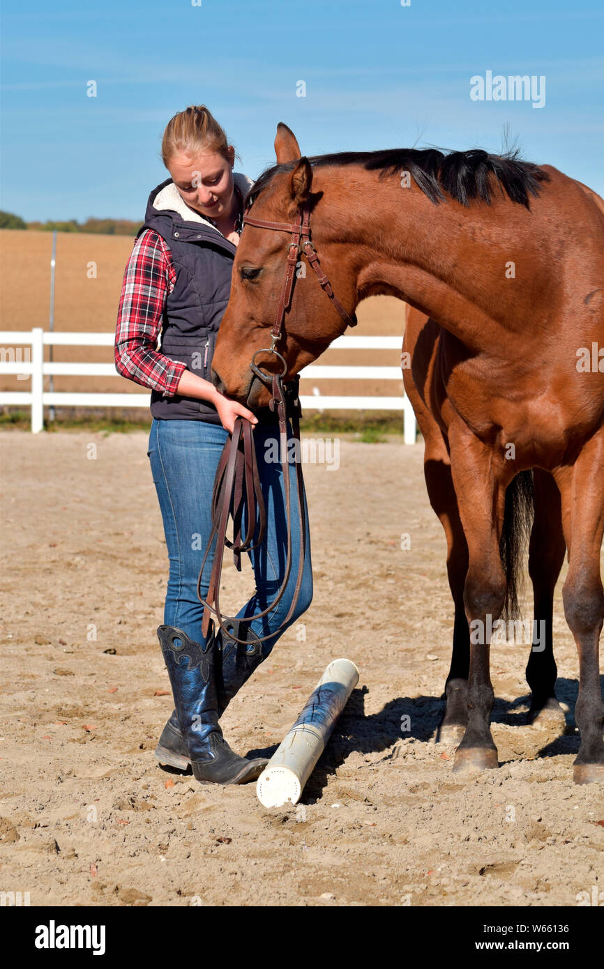 Young Woman and American Quarter Horse, bay, western horse, gelding, riding arena, pole Stock Photo