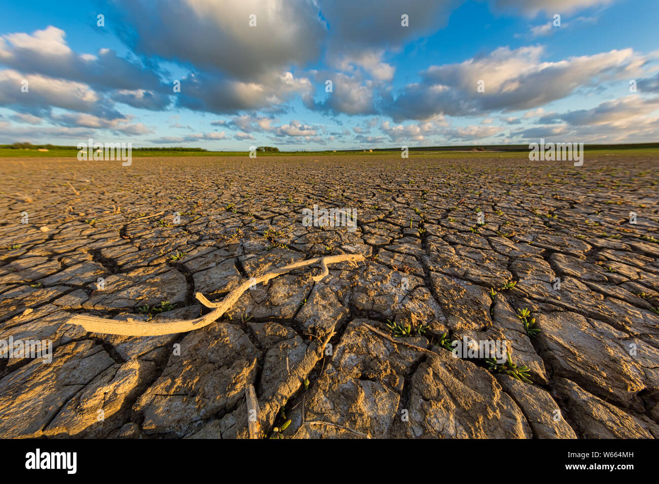 Arid and dry cracked land due to climate change and global warming - An ecological disaster Stock Photo