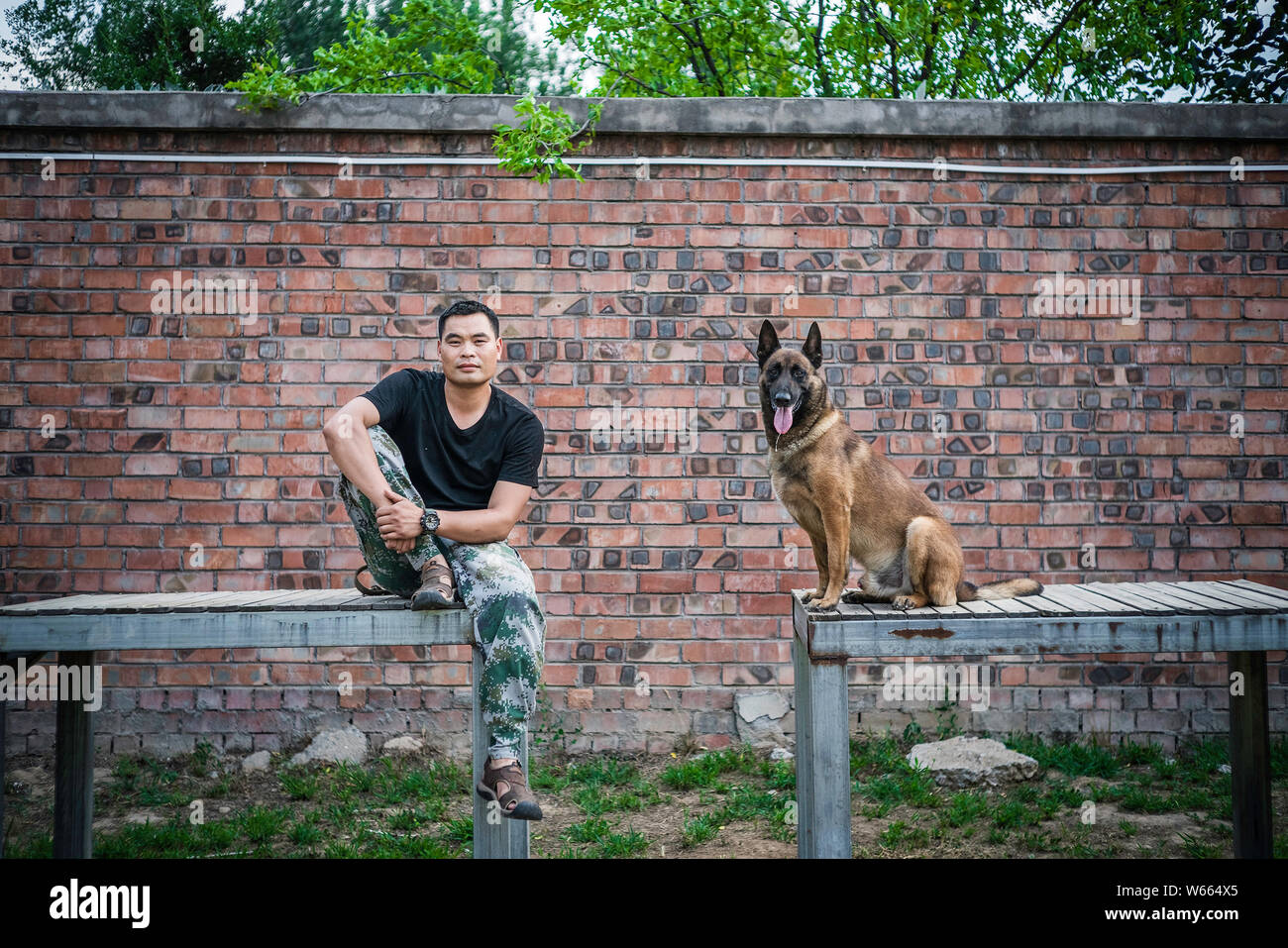 pet boarding and training