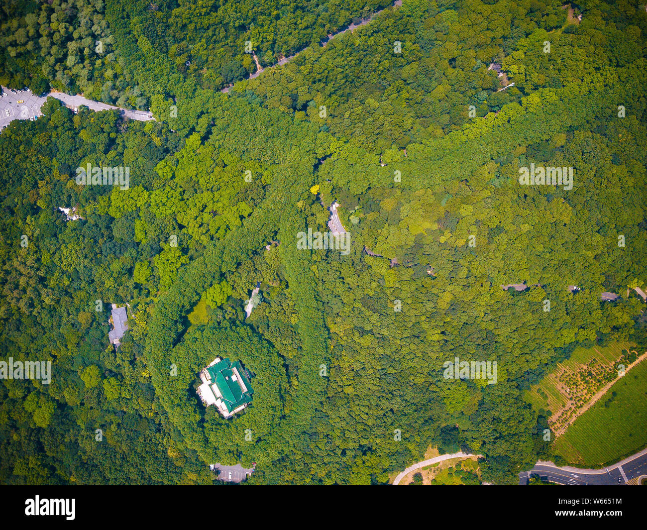 In this aerial view, the Meiling Palace circled by firmiana simplex features the shape of a jade necklace at the Purple Mountain Scenic Area in Nanjin Stock Photo
