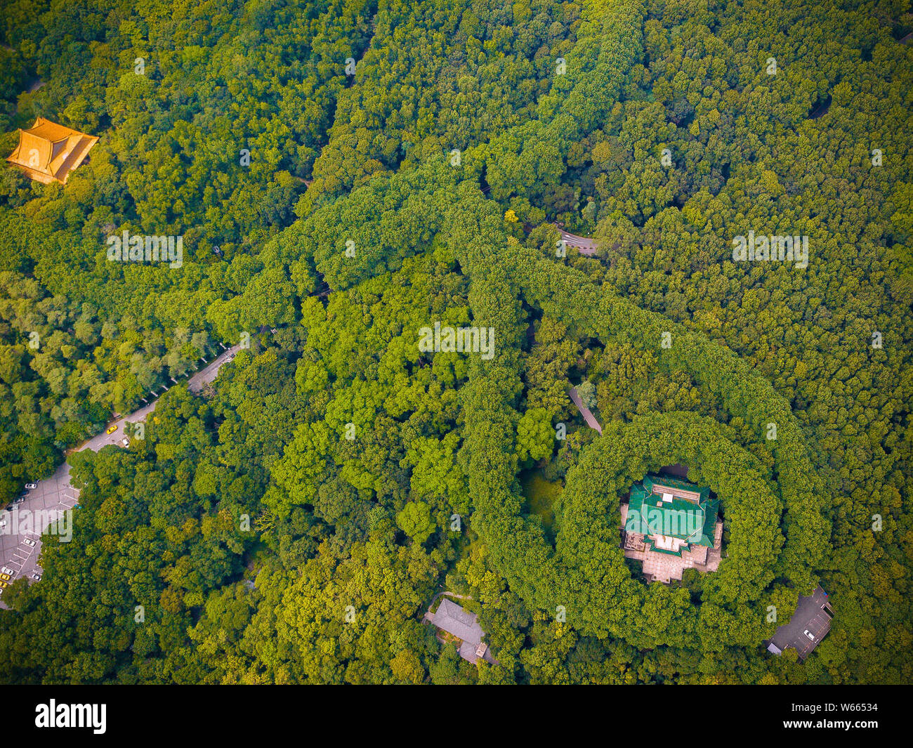 In this aerial view, the Meiling Palace circled by firmiana simplex features the shape of a jade necklace at the Purple Mountain Scenic Area in Nanjin Stock Photo