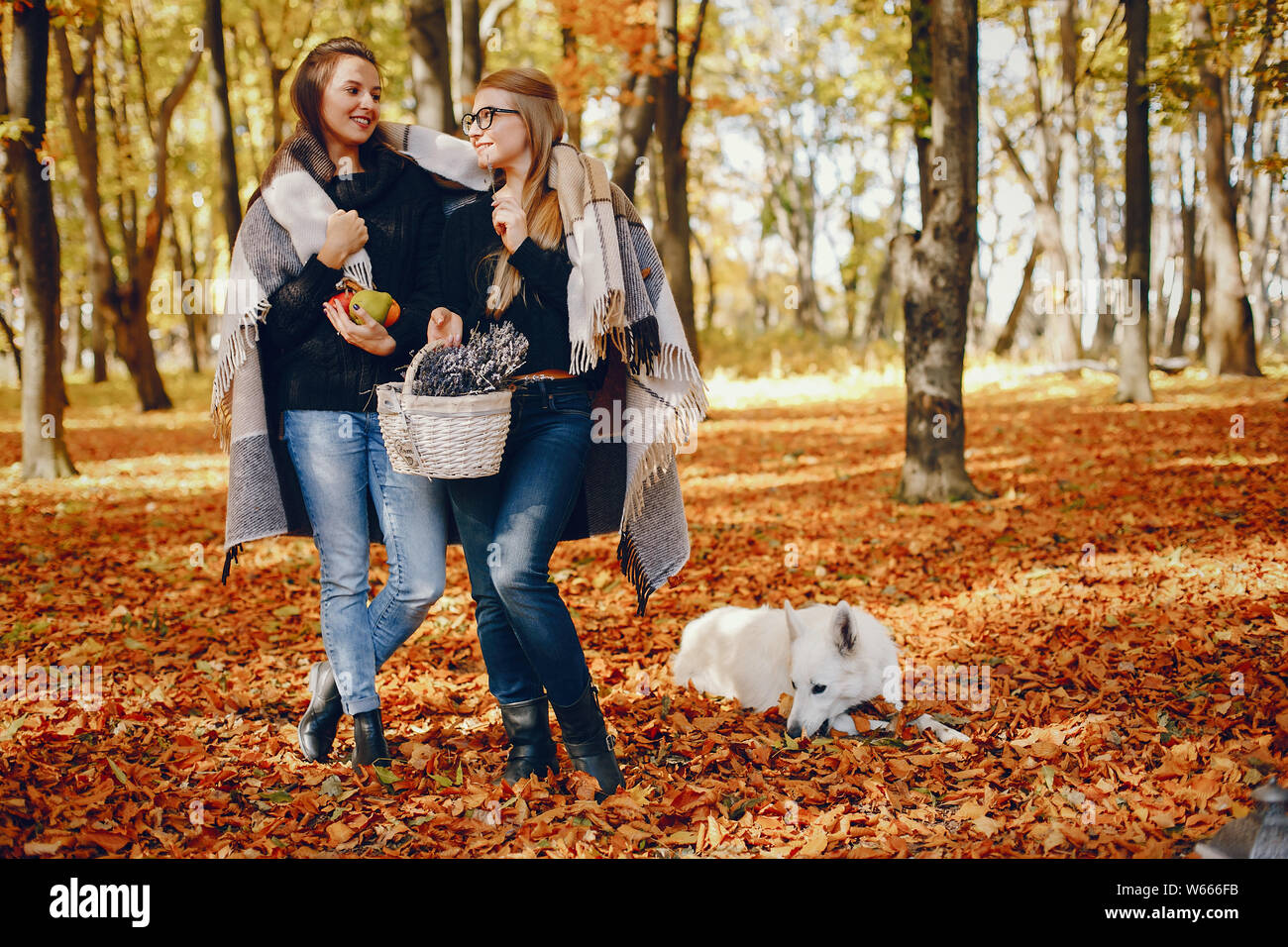 Beautiful girls have fun in a autumn park Stock Photo - Alamy