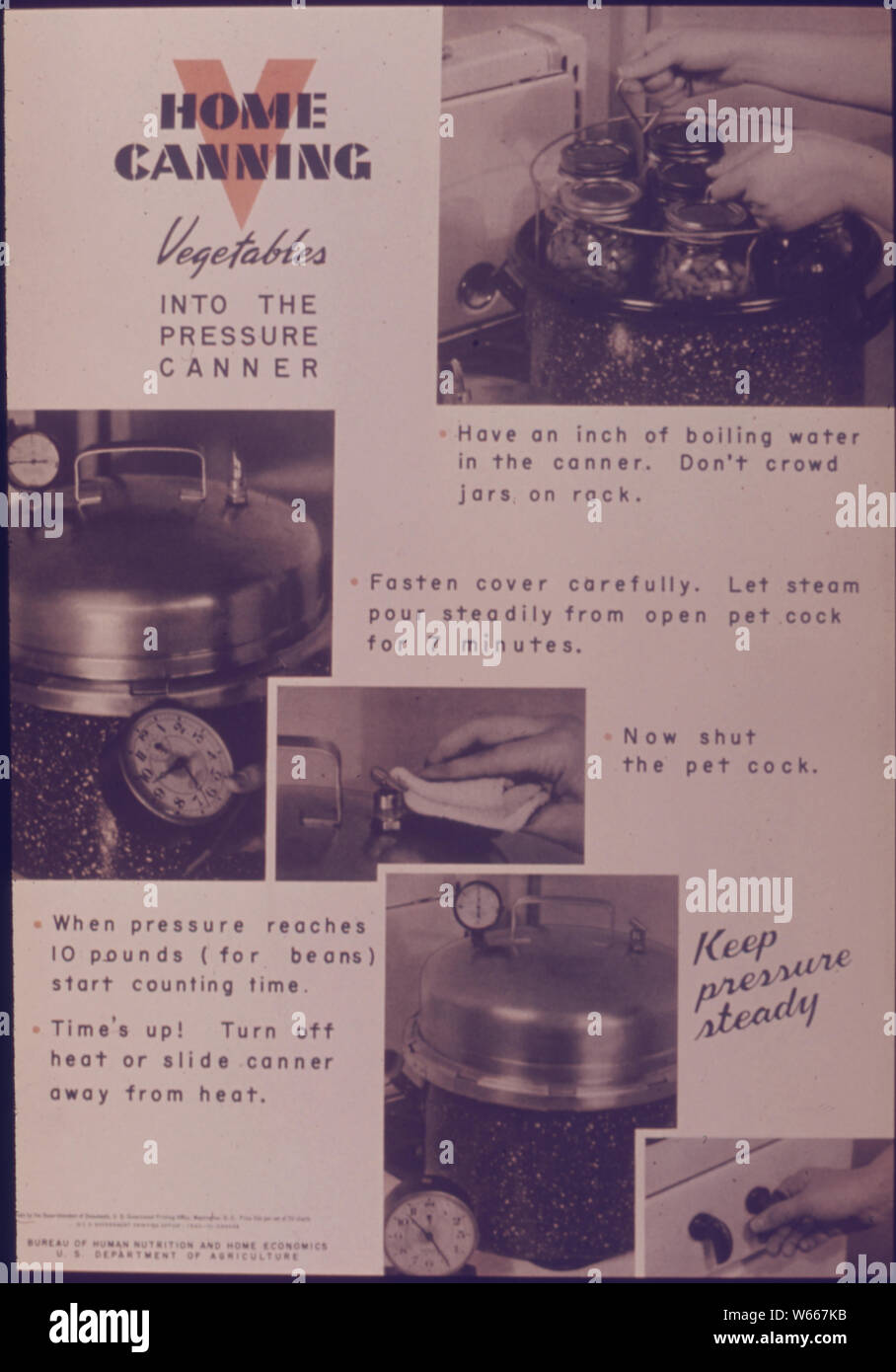 Home Canning Vegetables Into The Pressure Canner Stock Photo Alamy