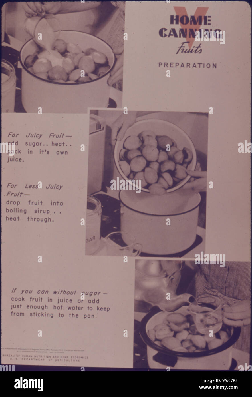 Home Canning Fruits Preparation Stock Photo Alamy