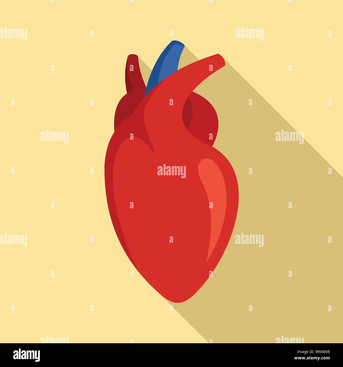 Human heart icon. Flat illustration of human heart vector icon for web ...