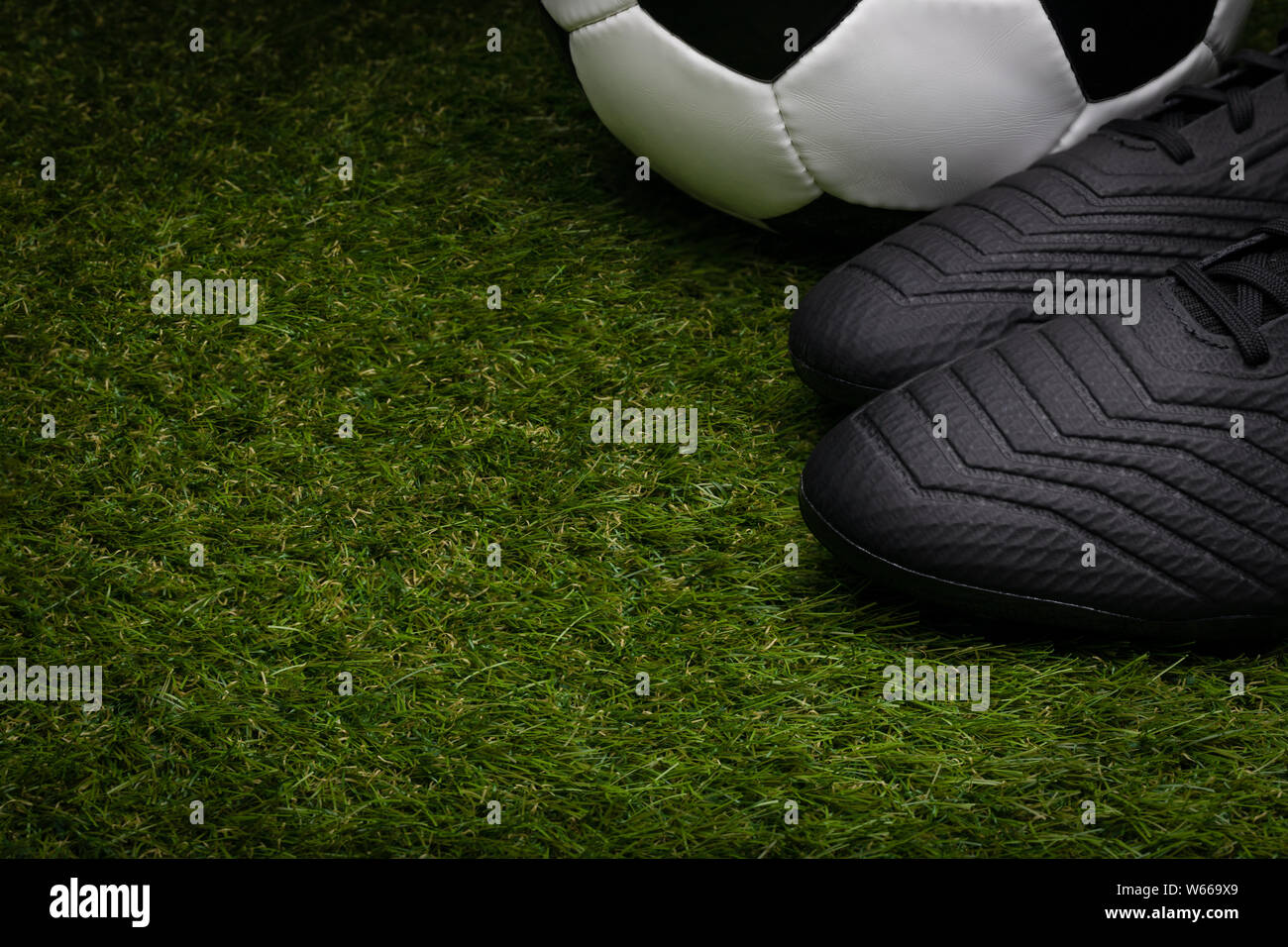 c8 astro turf trainers