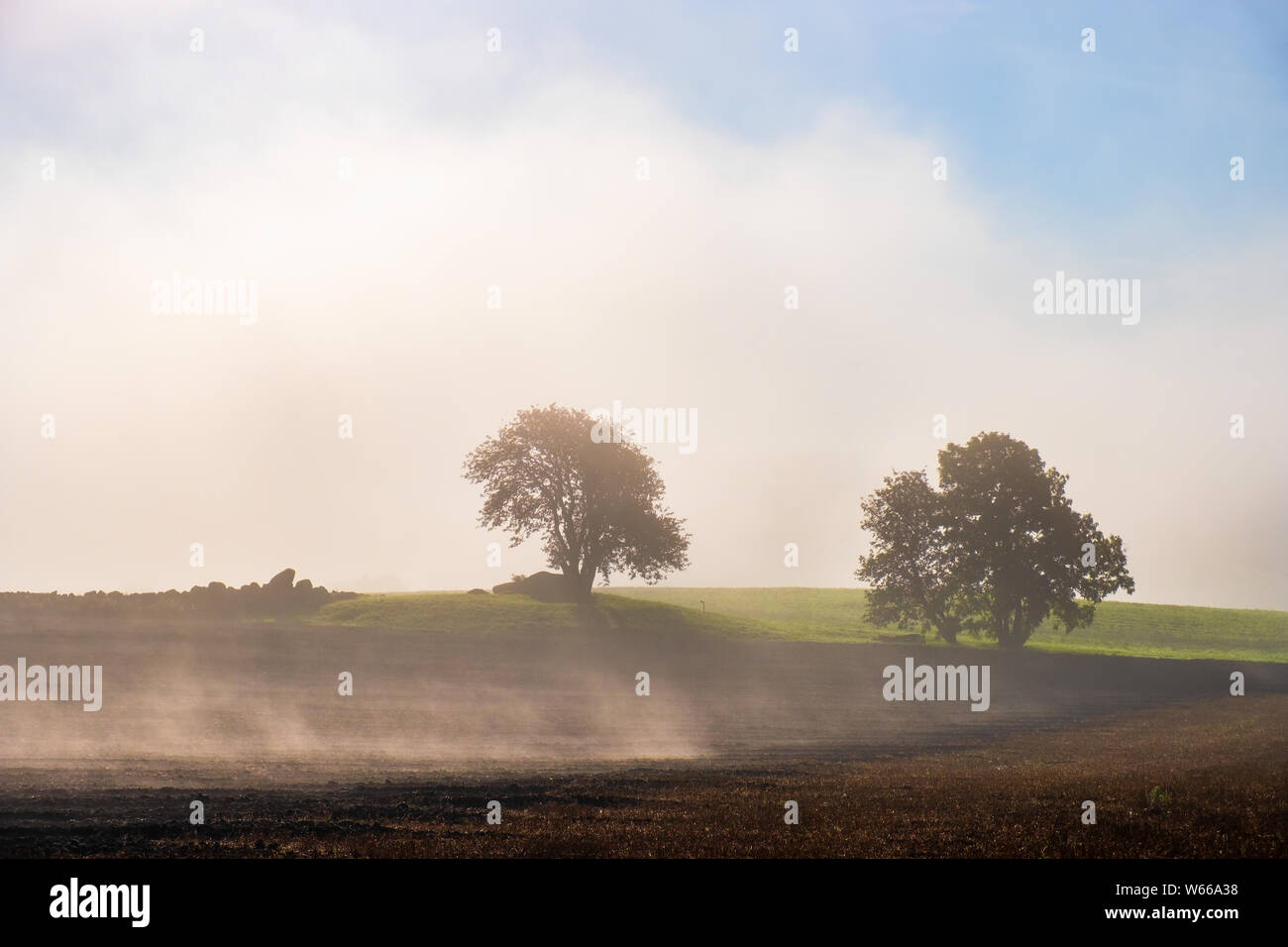 Beautiful misty morning in a rural landscape with trees in silhouettes ...