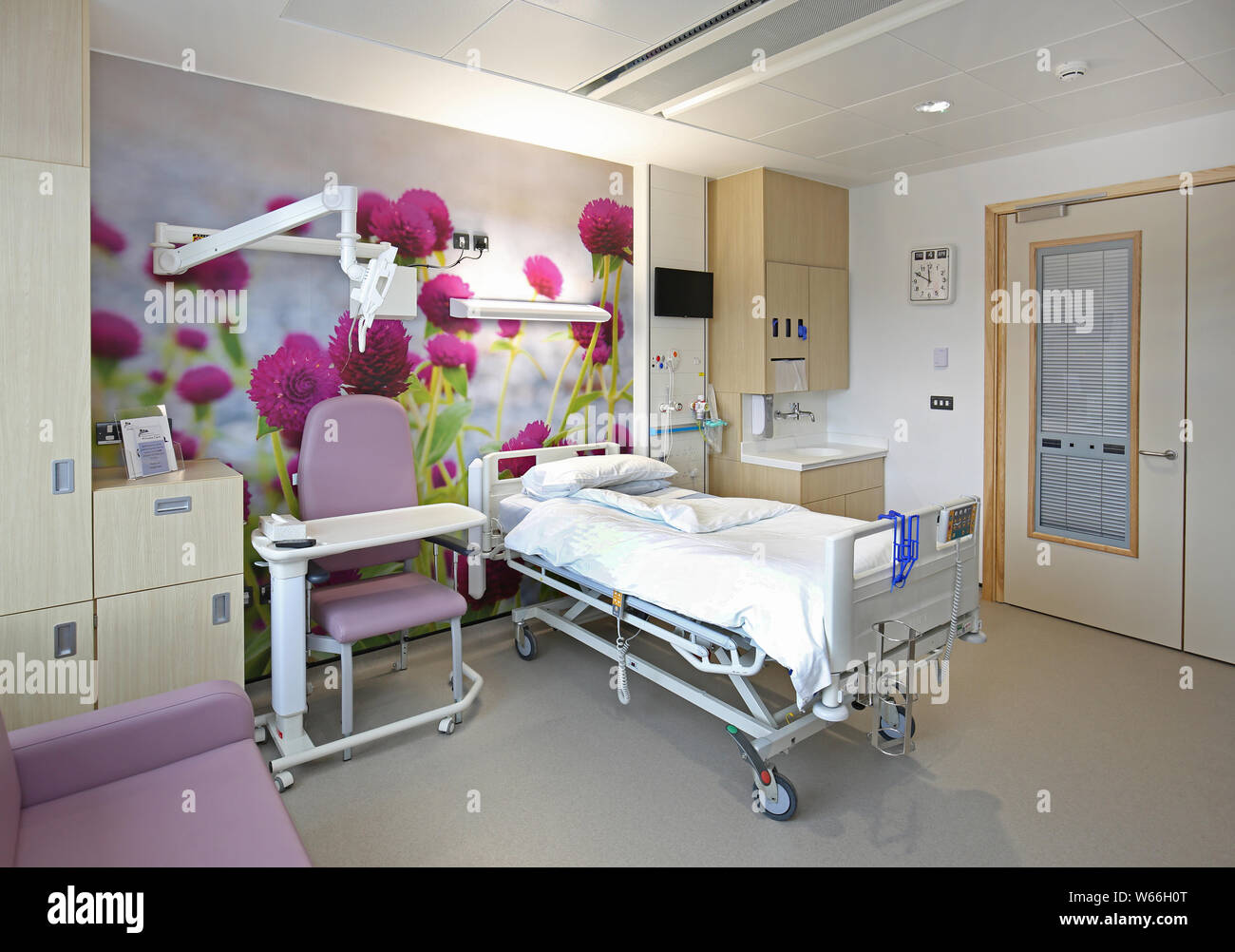Hospital Ward in the new Stanmore building, Royal National Orthopaedic Hospital, London, UK. Walls feature photo-murals of flowers. Stock Photo