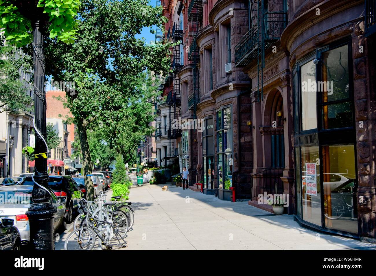 Montague street new york hires stock photography and images Alamy