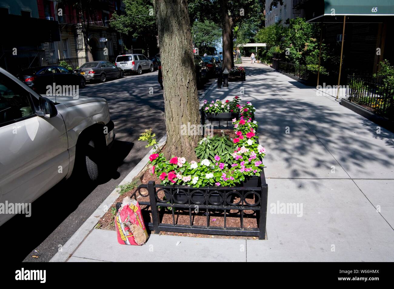Florist Montague Street Brooklyn