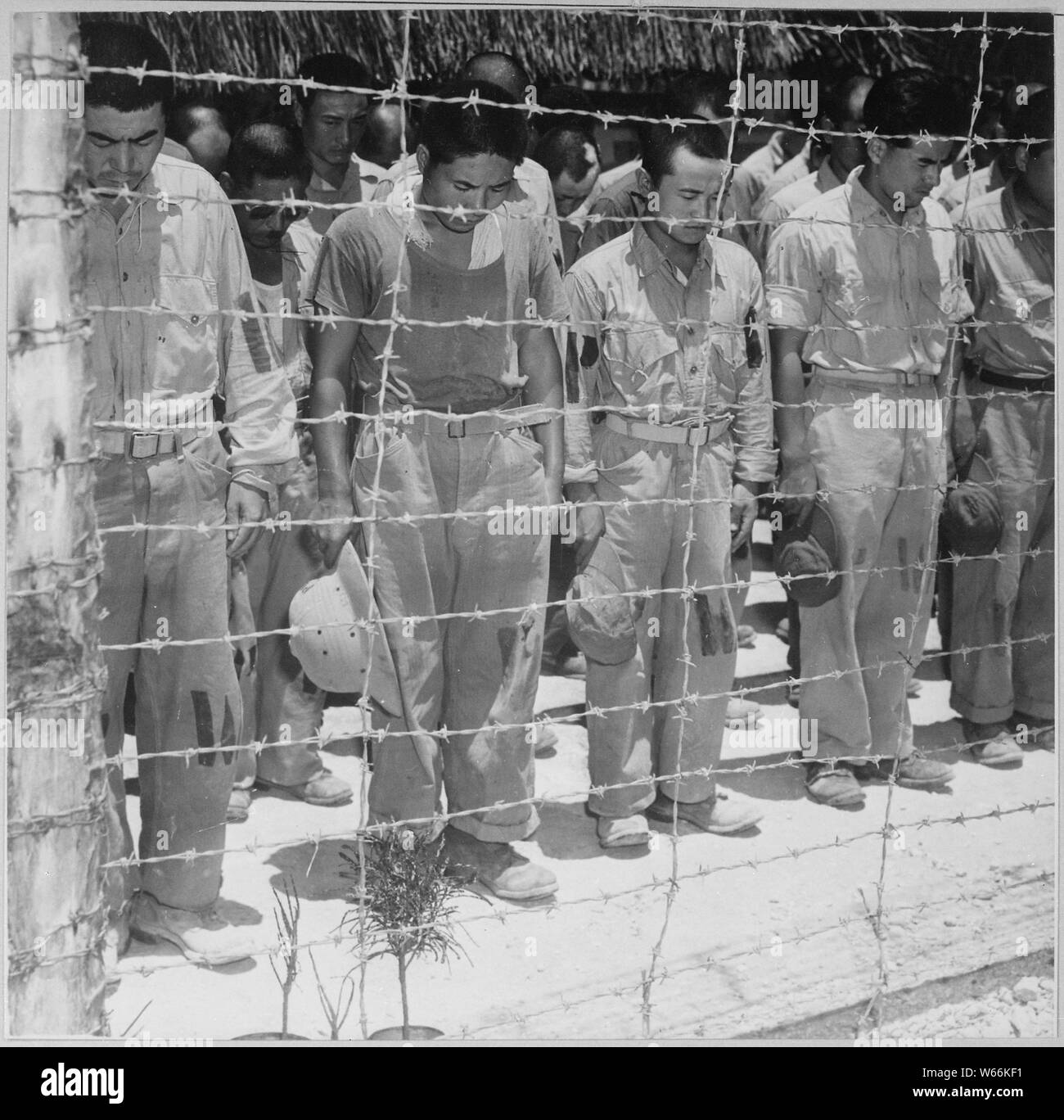 Japanese Prisoners of War at Guam, with bowed heads after hearing Emperor Hirohito make announcement of Japan's unconditional surrender.; General notes:  Use War and Conflict Number 1312 when ordering a reproduction or requesting information about this image. Stock Photo