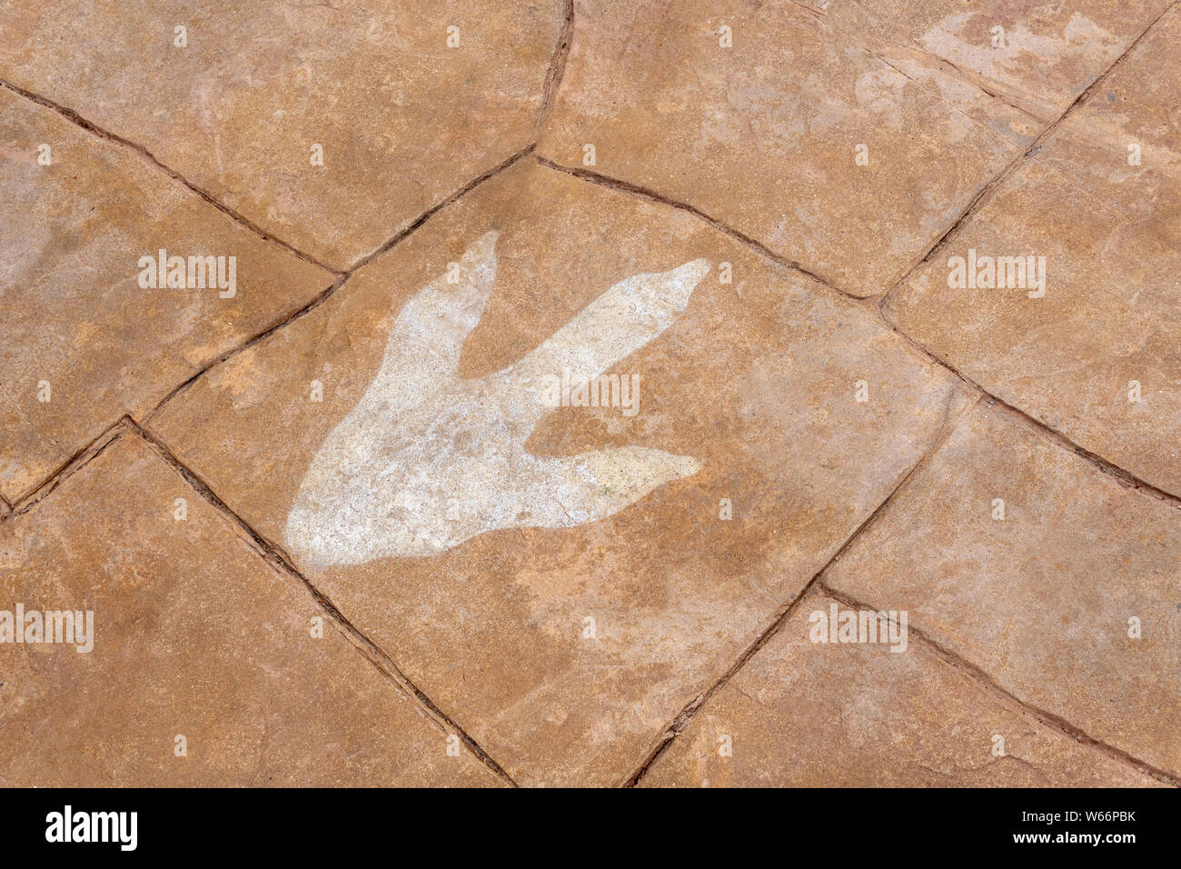 Sirindhorn Museum, Karasin Province Thailand - July 20, 2019: Dinosaur footprints on marble background Stock Photo