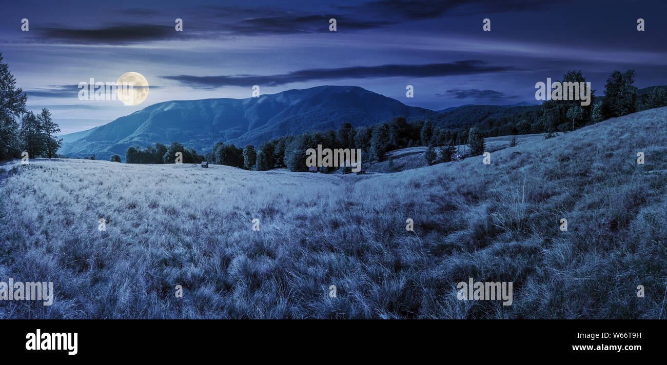 late summer night landscape in mountains. panorama with beech trees on the grassy meadow in full moon light. ridge in the distance beneath a sky with Stock Photo