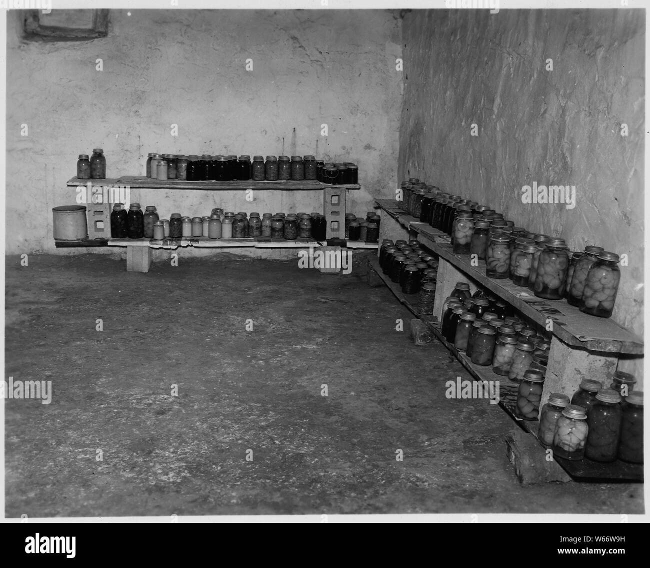 Lancaster County, Pennsylvania. Home-canned foods are still popular in the Amish country. Eight hu . . .; Scope and content:  Full caption reads as follows: Lancaster County, Pennsylvania. Home-canned foods are still popular in the Amish country. Eight hundred quarts of food were stored in this cellar last fall. The white-washed walls are typiCalifornia. Stock Photo