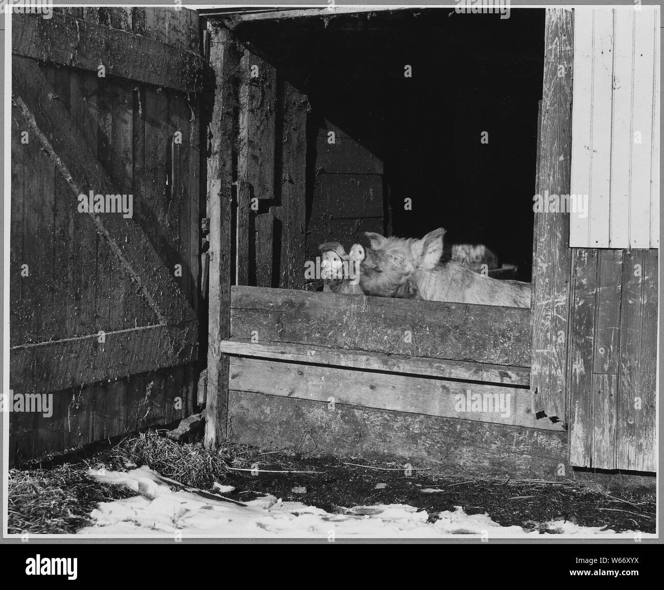Landaff Grafton County New Hampshire It Is A Fairly Common