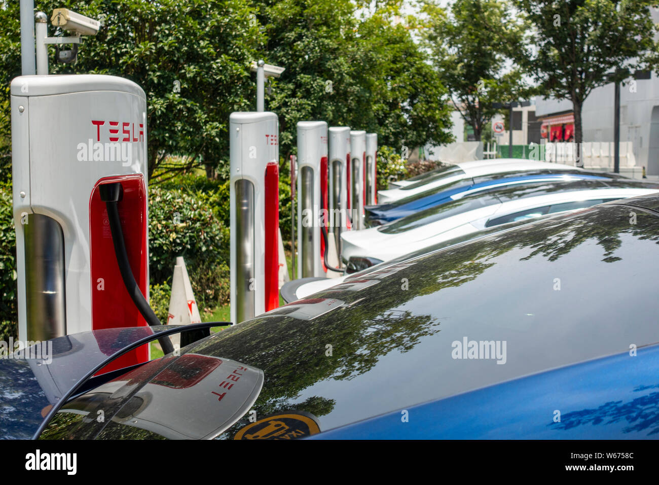 --FILE--Electric cars are being charged at a Tesla's charging station ...