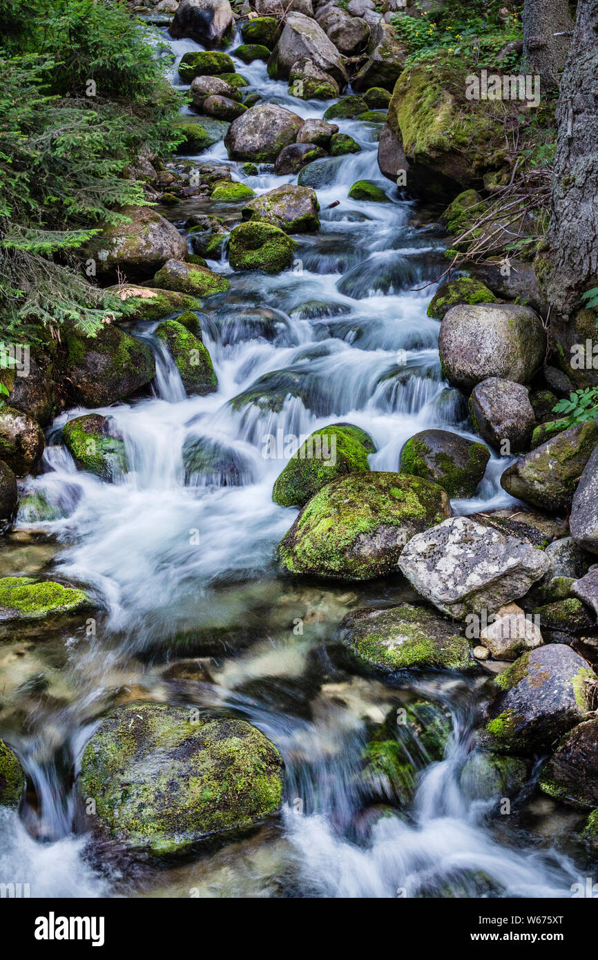 One of many streams at the Rila mountain in Bulgaria, also known for its Musala peak, the highest point in Balkans. Mossy rocks washed by water. Stock Photo