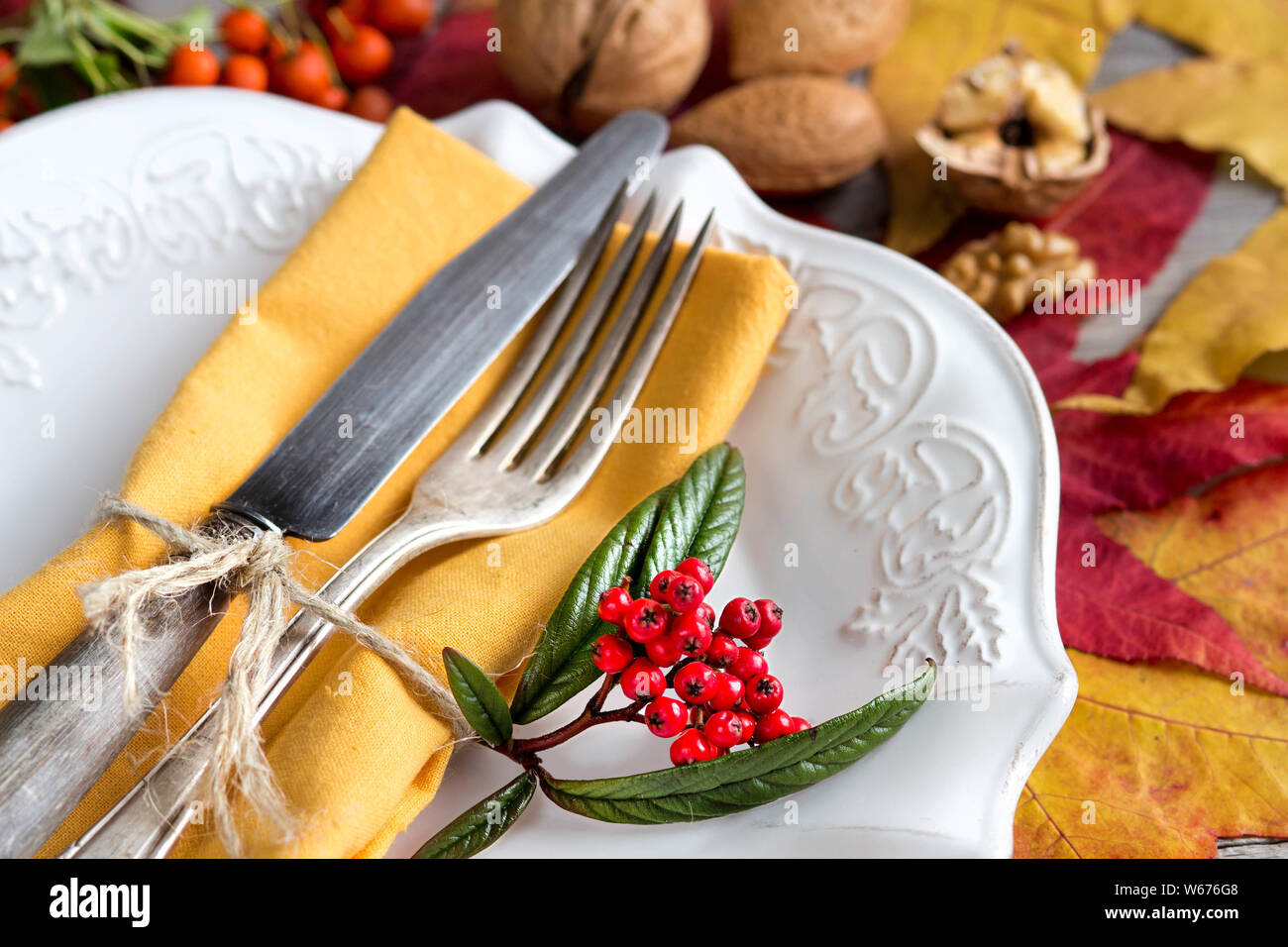 Autumn rustic table setting with berries, leaves and nuts Stock Photo ...