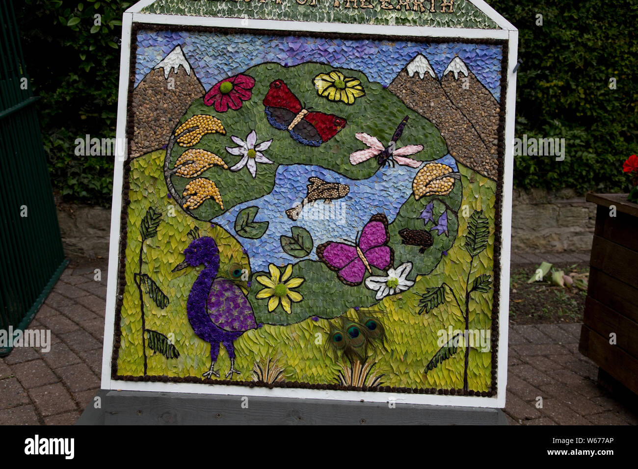Well dressing in Swanwick - the art of decorating springs and wells with pictures made from natural materials, mainly flowers is an ancient custom fou Stock Photo
