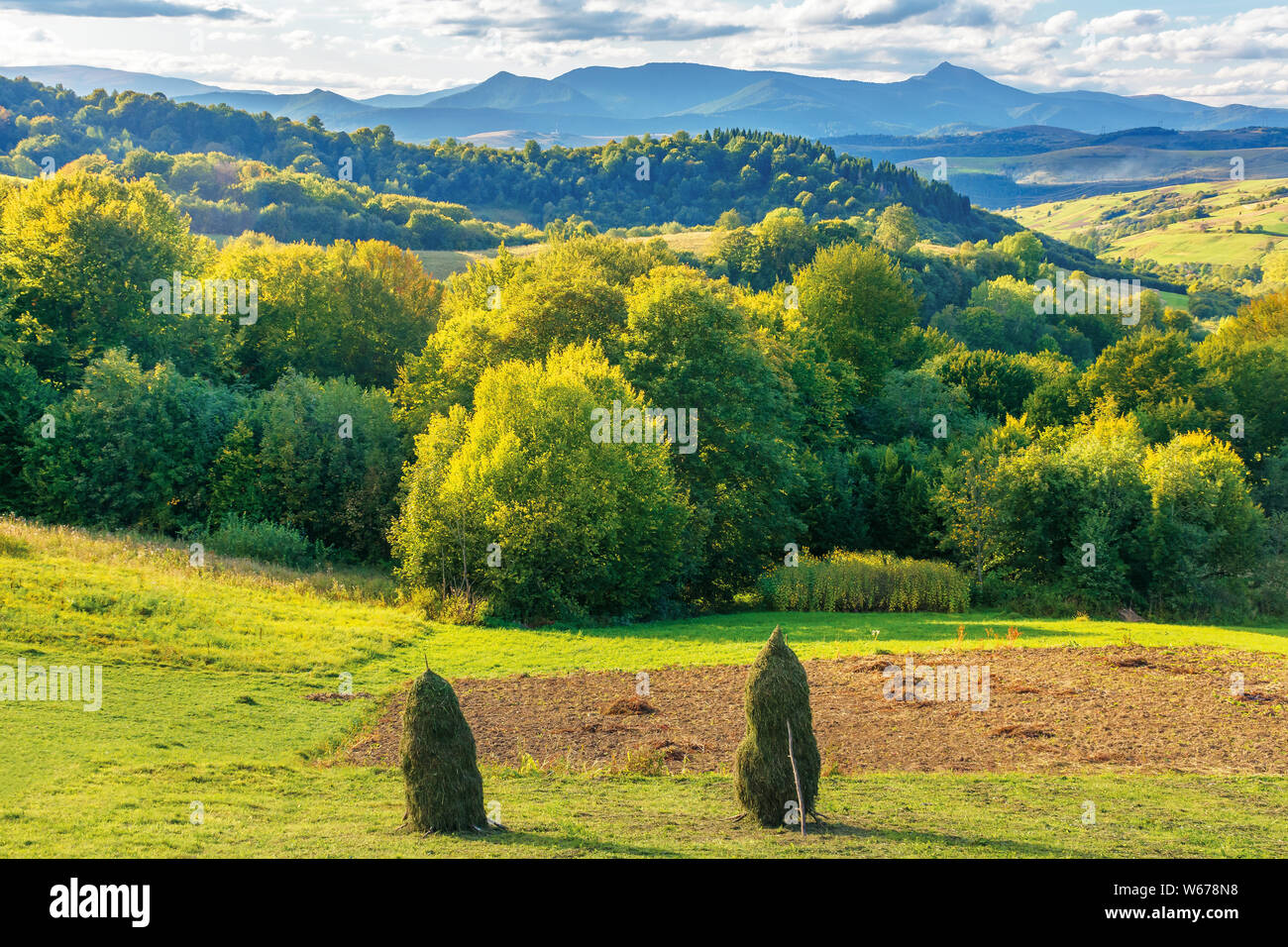 amazing countryside landscape in mountains. wonderful sunny sunset with clouds on the sky. forest on hills behind the rural field with haystacks. ridg Stock Photo