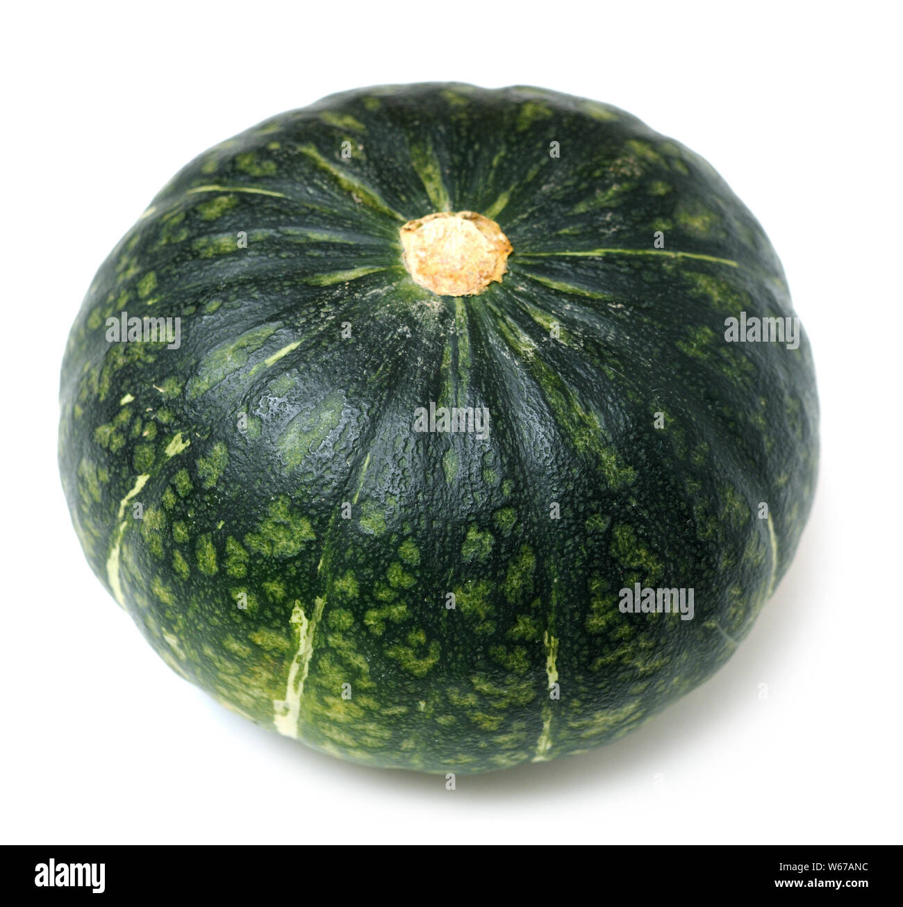 single green pumpkin isolated on white background Stock Photo - Alamy