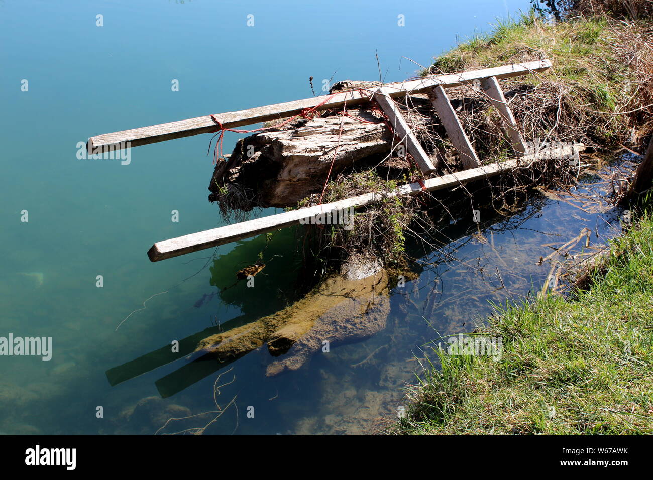Dead Ladders Broken wooden ladders with missing steps thrown away at local river ...