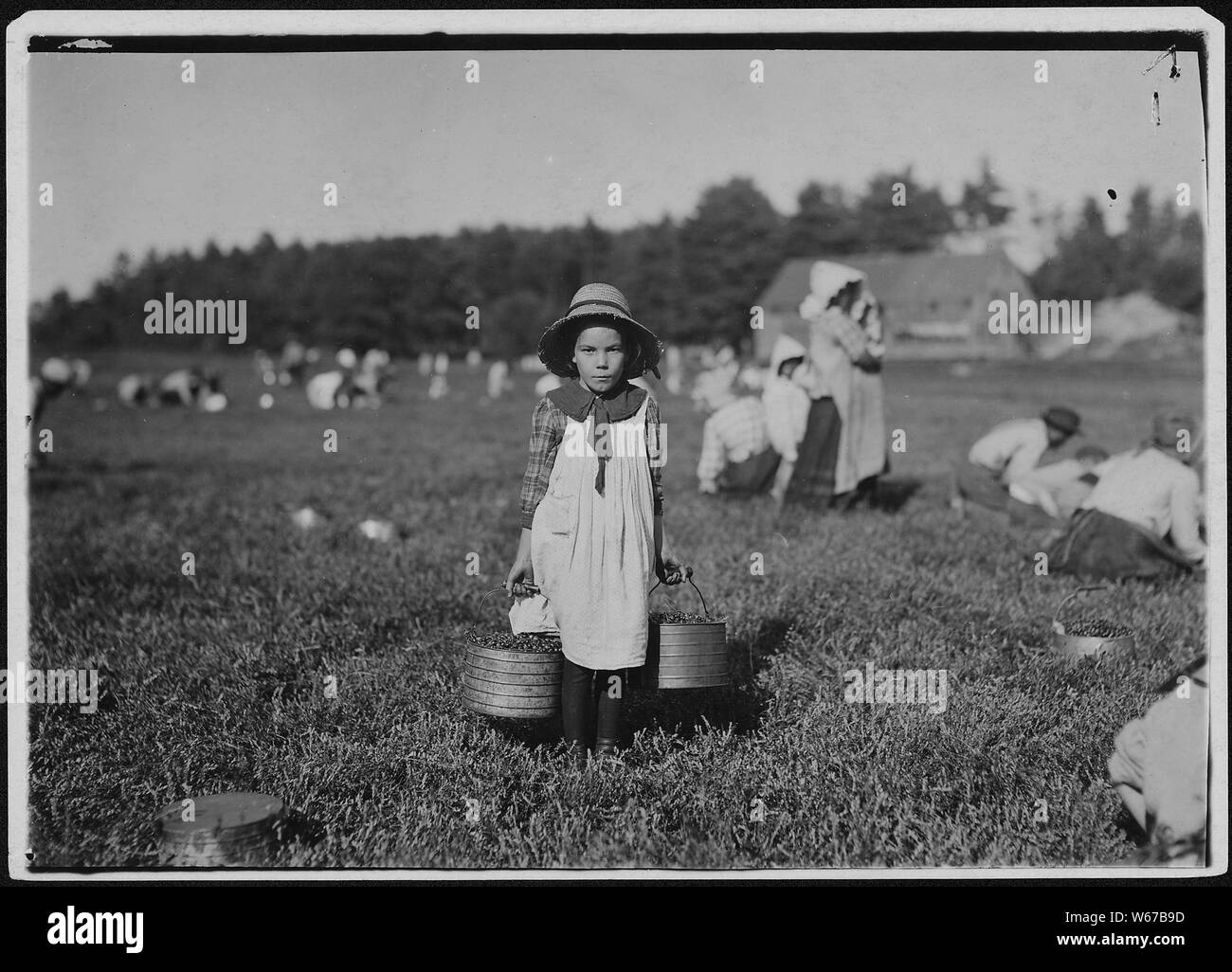 Merilda, carrying cranberries. Rochester, Mass. Stock Photo