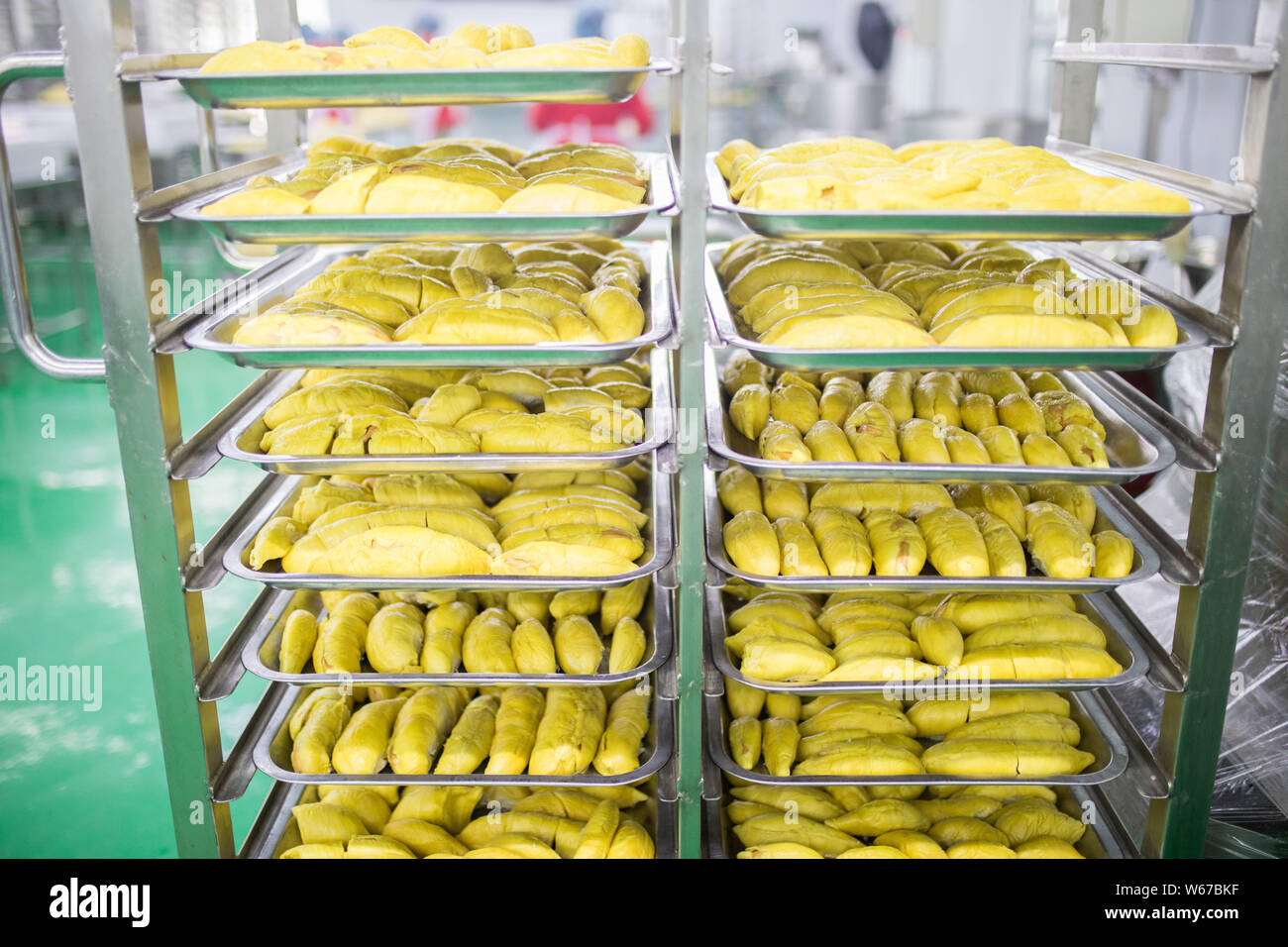 --FILE--Durian, known as the 'King of Fruits', products processed by workers are displayed at a factory of Chinese Malaysian fruit producer and export Stock Photo