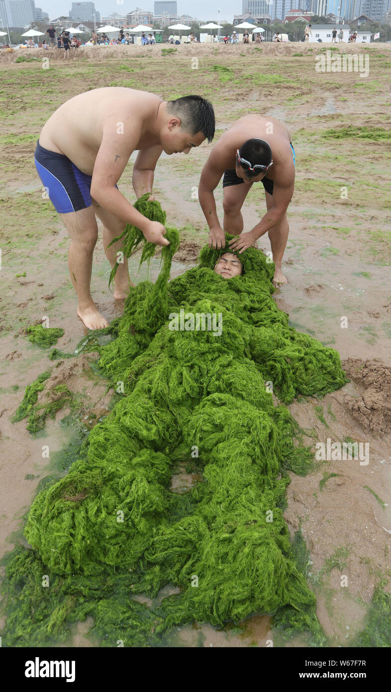 algae in chinese