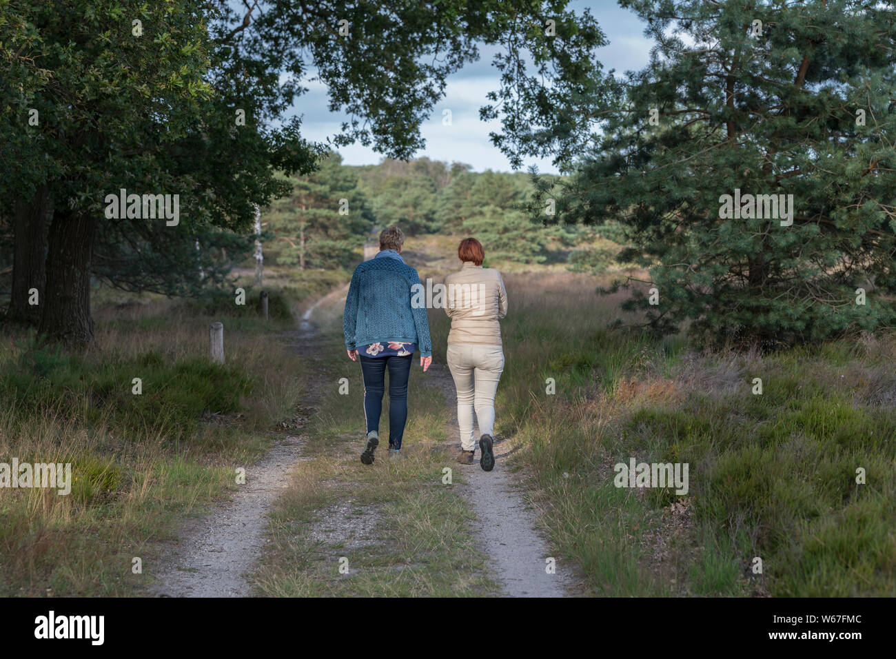 Garderen,Holland,15-july-2019:two woman walking in the national park the hooge veluwe in holland, the park is famous of its wildlife as deer and wild pigs Stock Photo