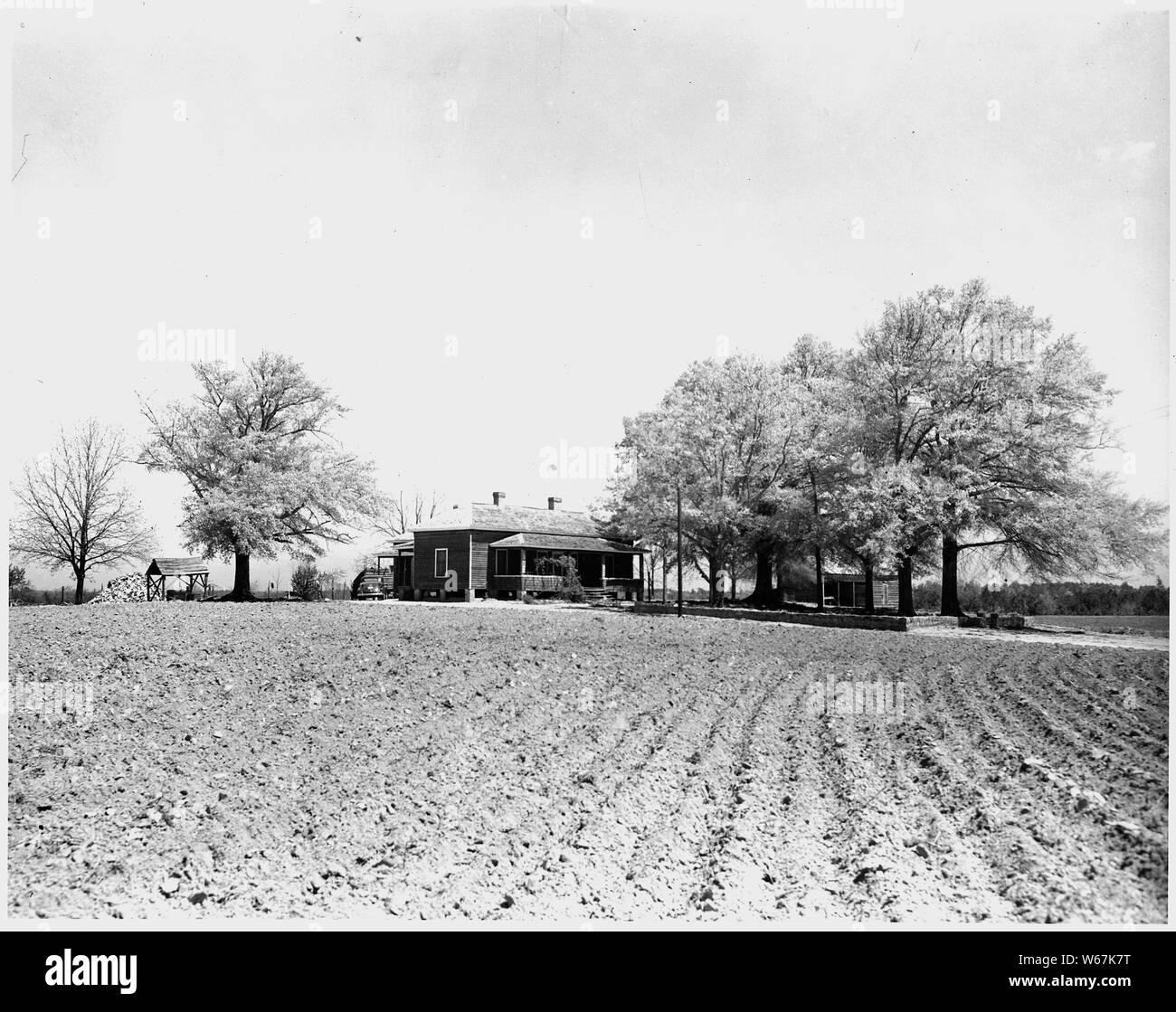 Newberry County, South Carolina. Rehabilitated home on permanent farm on Enoree District, Sumter Nat . . .; Scope and content:  Full caption reads as follows: Newberry County, South Carolina. Rehabilitated home on permanent farm on Enoree District, Sumter National Forest planned as part of a forest community subsisted on a combined forest and agricultural economy. (Under special use permit to S. A. Rikard, Newberry County.) Stock Photo