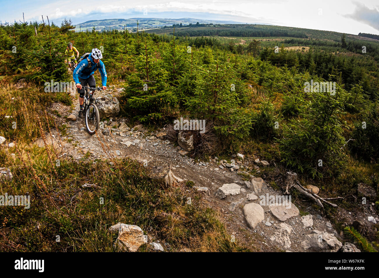 BALLINASTOE IRELAND. Two mountain bikers riding a rocky trail through the young forest in the purpose built MTB trail centre Stock Photo Alamy