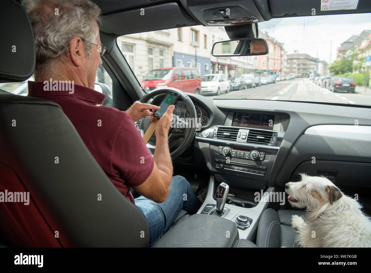 Mann steuert ein Fahrzeug, neben ihm am Beifahrersitz ein Hund Stock Photo