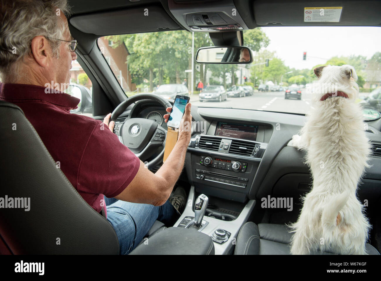 Mann steuert ein Fahrzeug, neben ihm am Beifahrersitz ein Hund Stock Photo