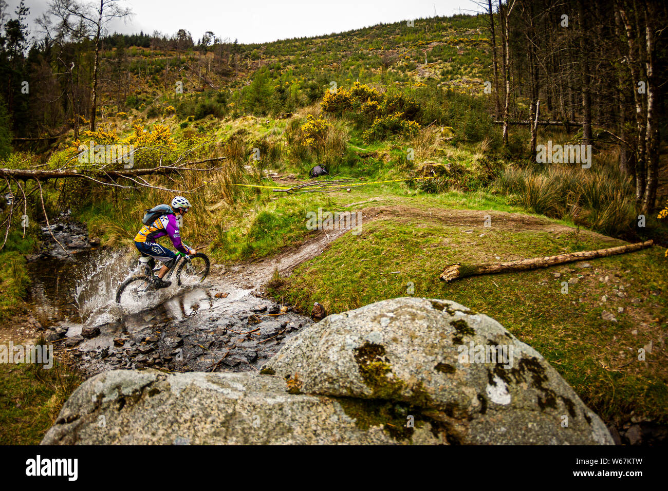 DJOUCE, WICKLOW, IRELAND. A mountain biker splashing through a stream on a MTB  trail Stock Photo - Alamy