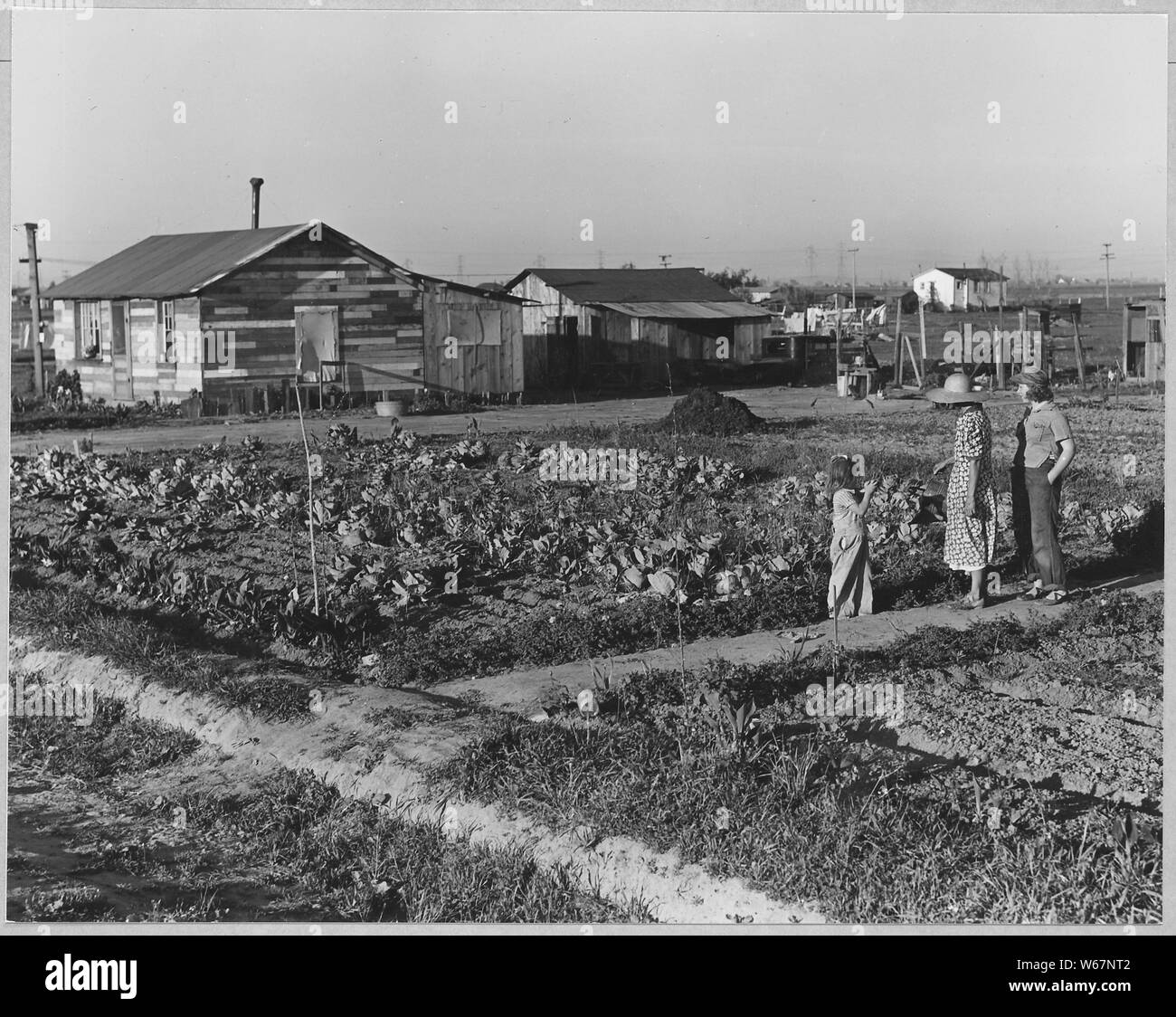 California an unpainted house of second hand lumber hires stock