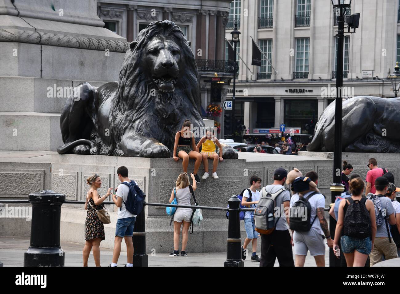 Lion Sculptures of Trafalgar Square, London UK Stock Photo - Alamy