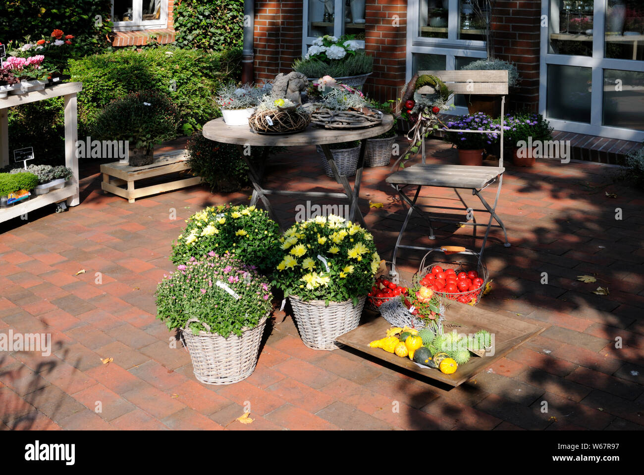 Flower shop with fall plants for sale. Stock Photo