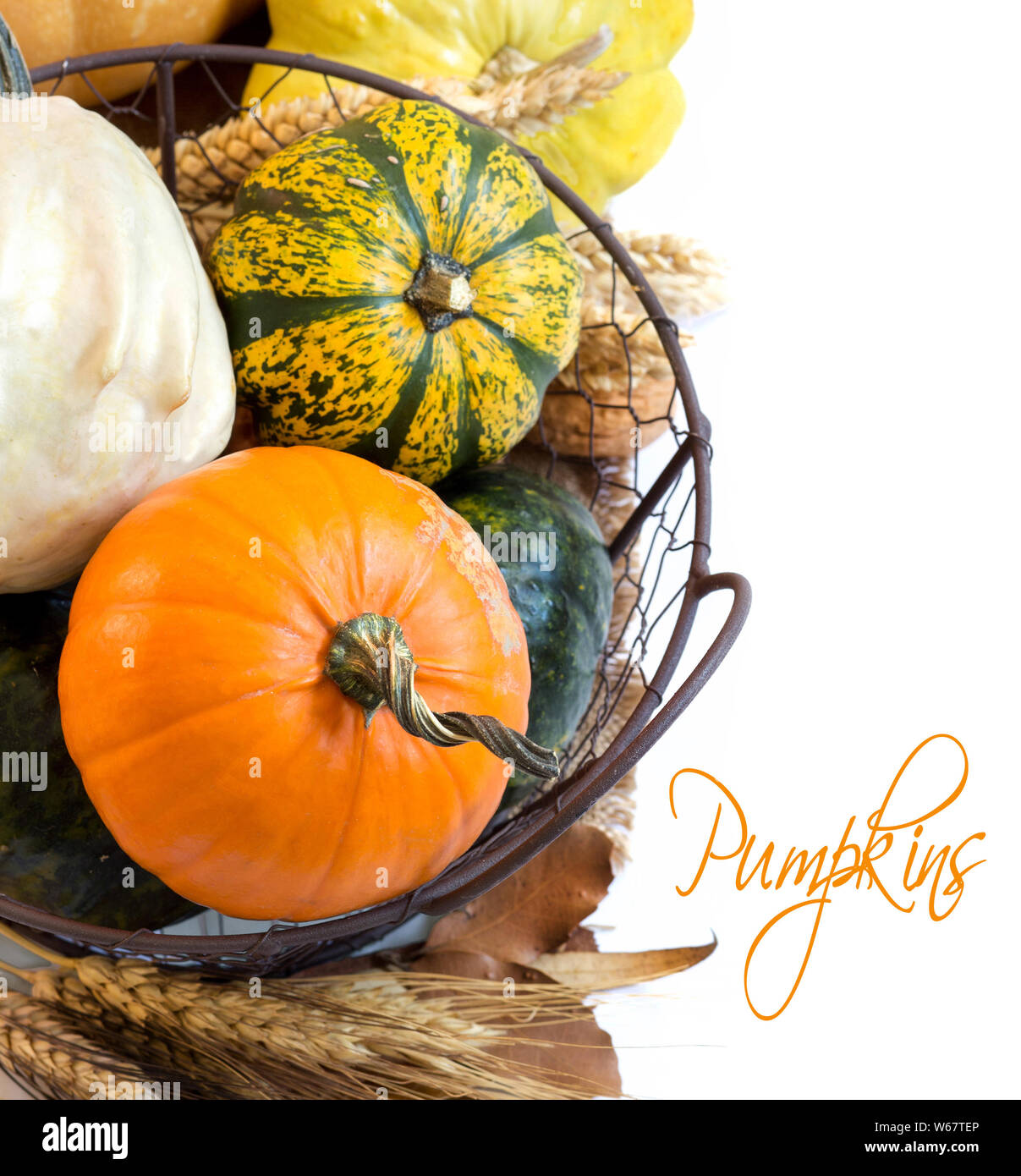 Autumn background with pumpkins in basket and wheat Stock Photo - Alamy