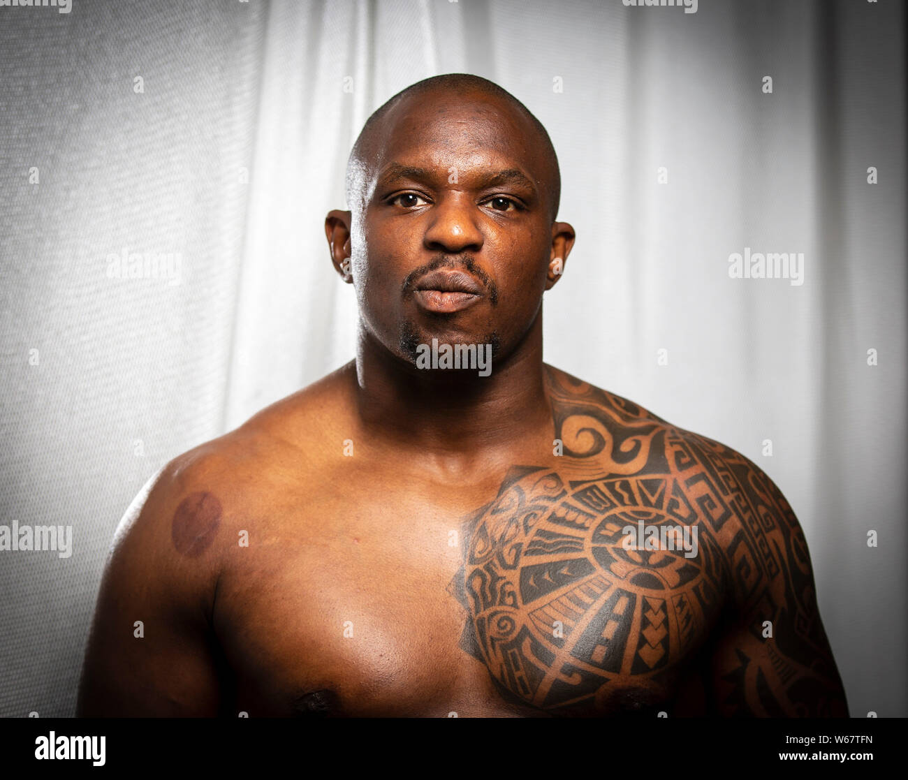 Boxer Portrait High Resolution Stock Photography And Images Alamy