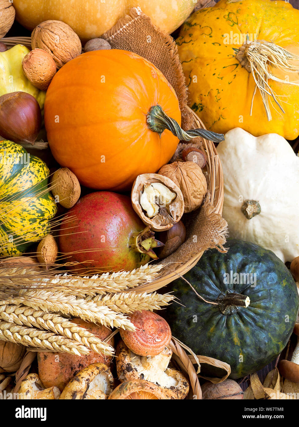 Autumn background with pumpkins, mushrooms, pomeranat, wheat and nuts Stock Photo