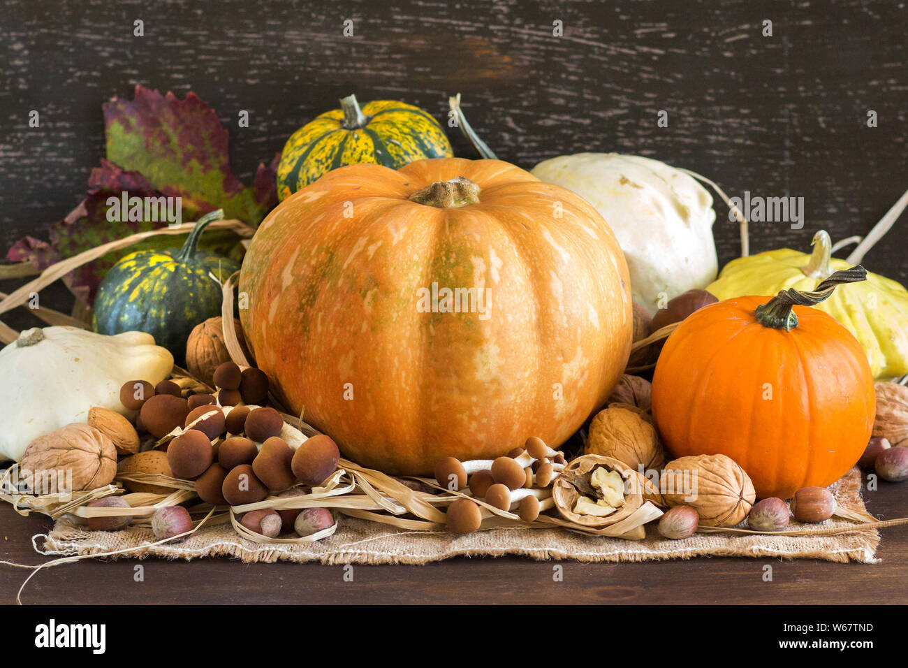Autumn background with pumpkins, mushrooms and nuts Stock Photo