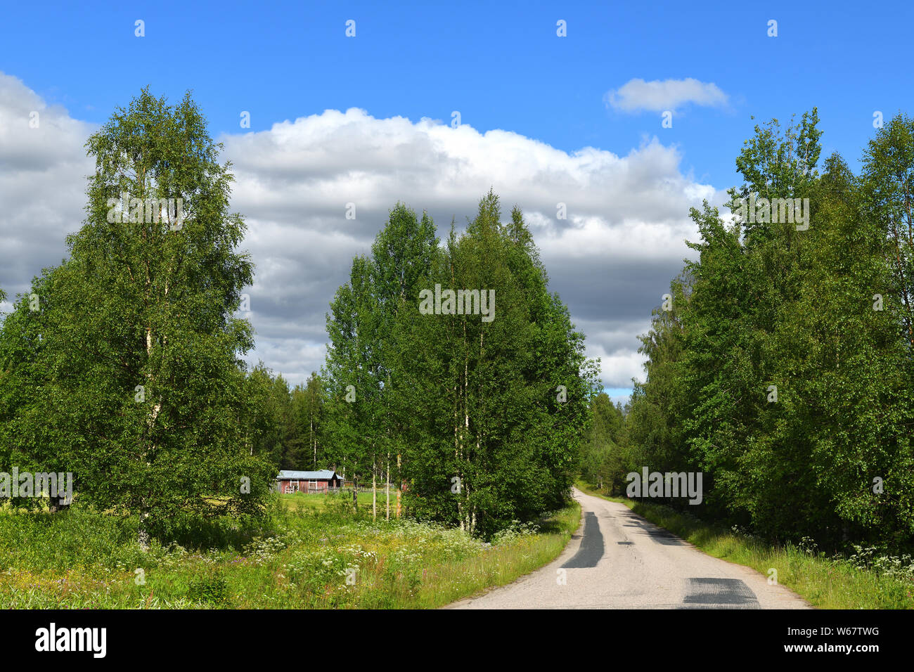 Summer landscape with country road. Finnish Lapland Stock Photo