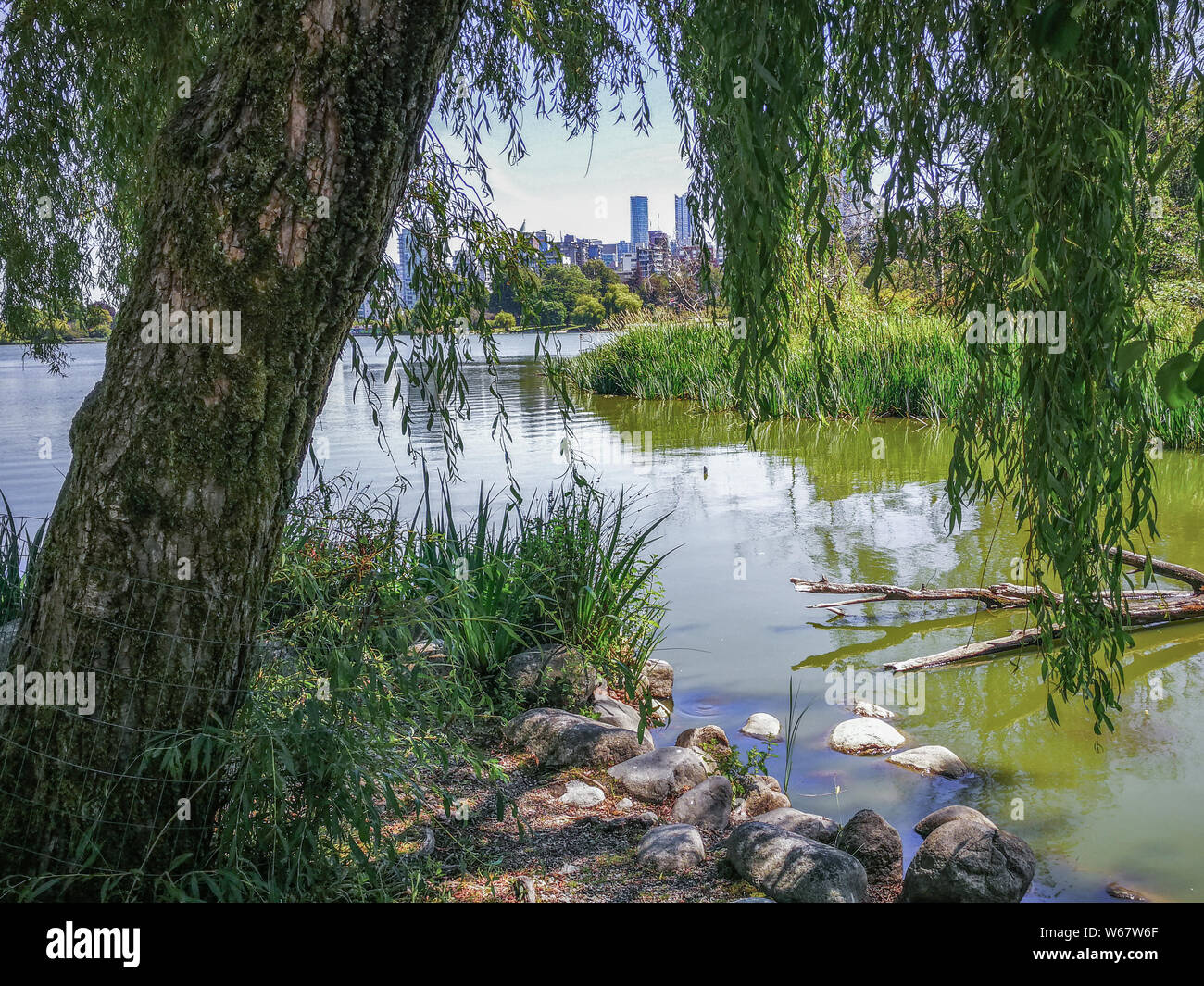 Stainley Park, Vancouver, British Columbia, Canada Stock Photo