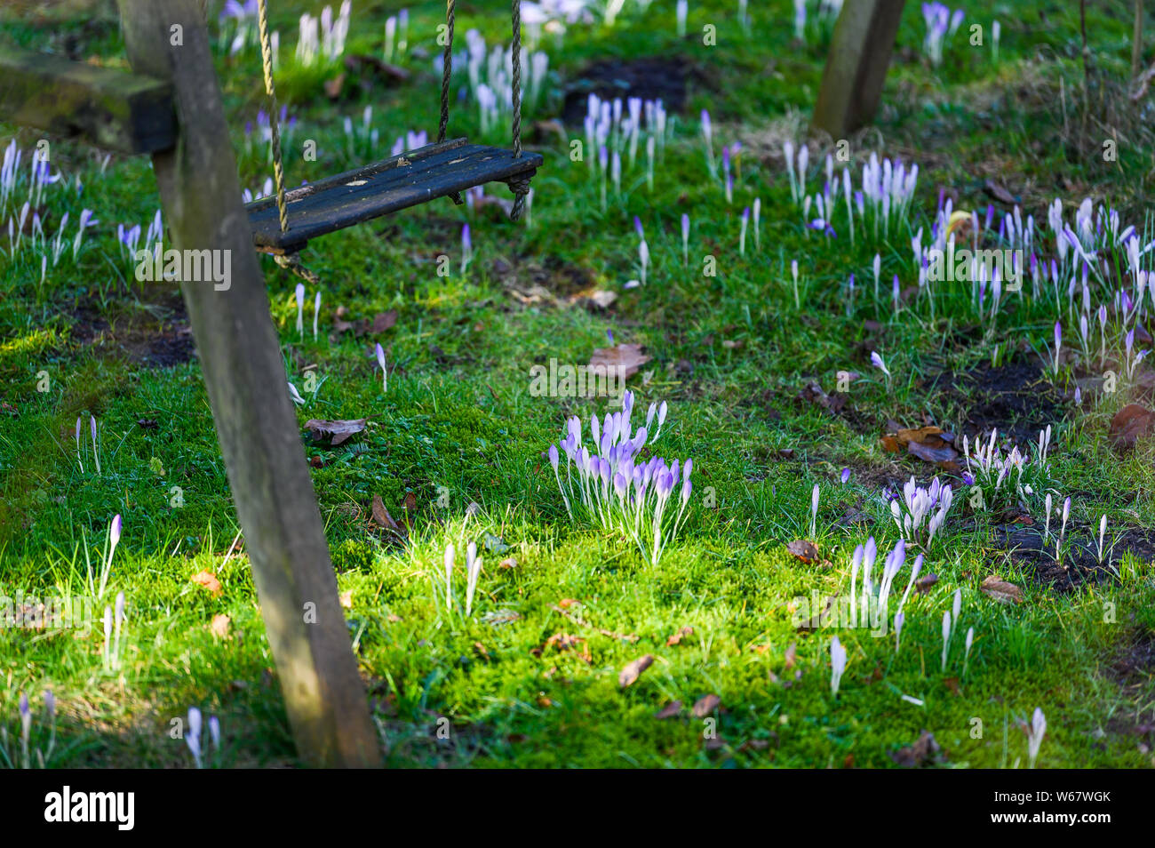 garden in Hamburg, Germany Stock Photo