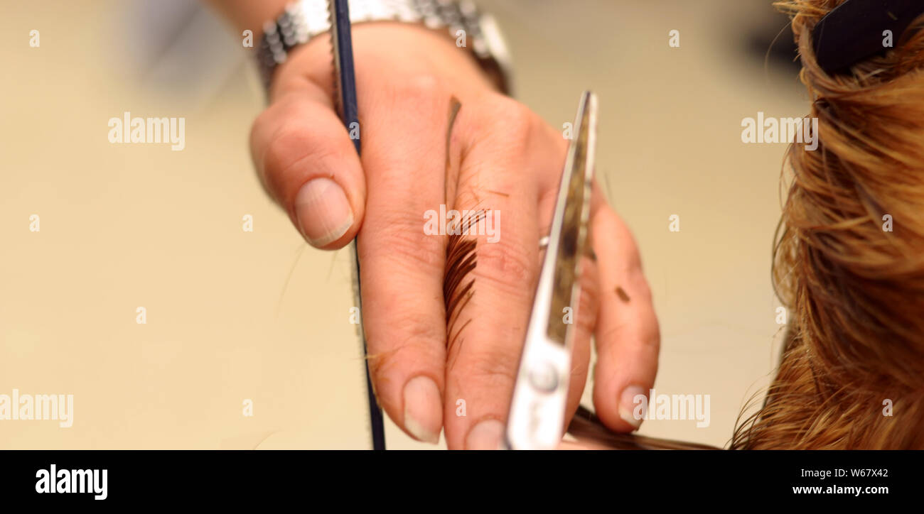 cutting hair with scissors and comb